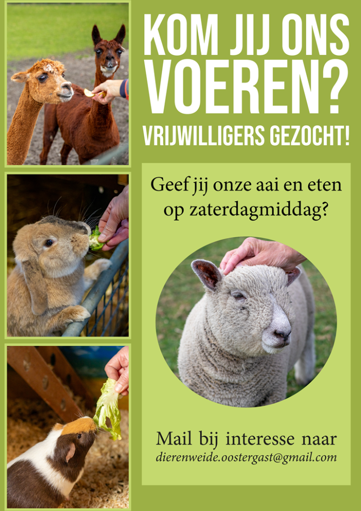 Kom jij ons voeren?